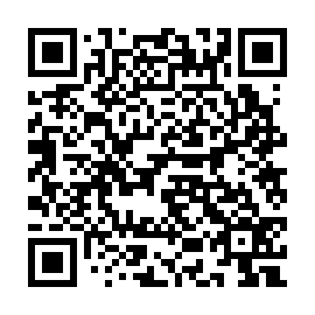 QR code for plate 9ER 336