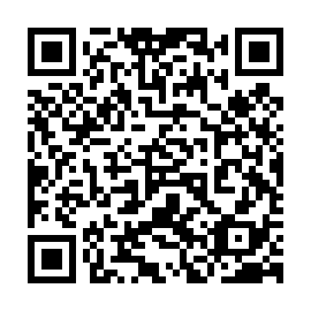 QR code for plate 9FR D38