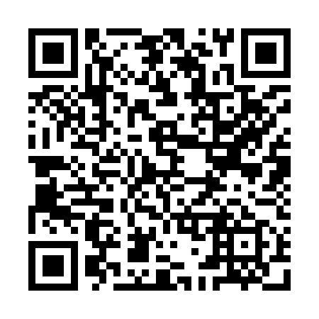 QR code for plate 9G3 959