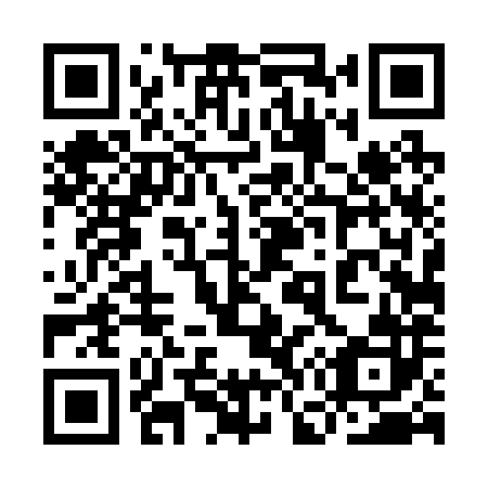 QR code for plate 9G4 282