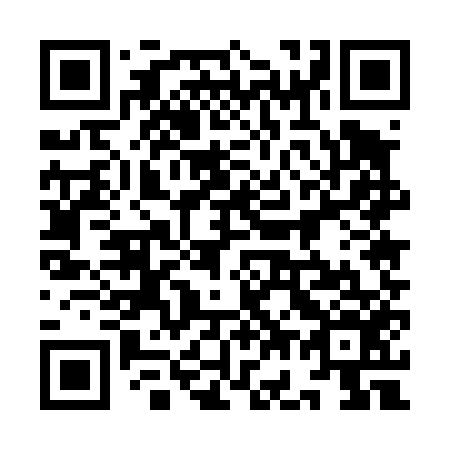 QR code for plate 9G5 456