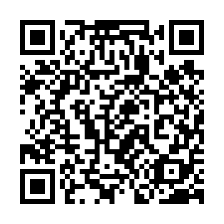 QR code for plate 9G5 658