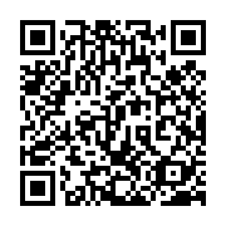 QR code for 9GD T29