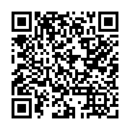 QR code for 9GO 333