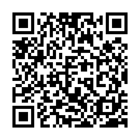 QR code for plate 9GO U51