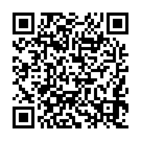QR code for plate 9I0 153