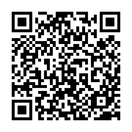QR code for plate 9I1 487
