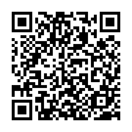 QR code for plate 9I7 502