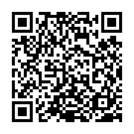 QR code for 9IG V23