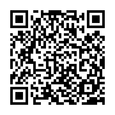 QR code for plate 9IJ T55