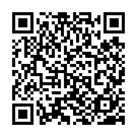 QR code for plate 9IN 620