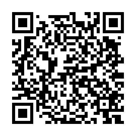 QR code for 9IR T09