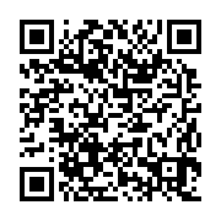 QR code for plate 9IR 383