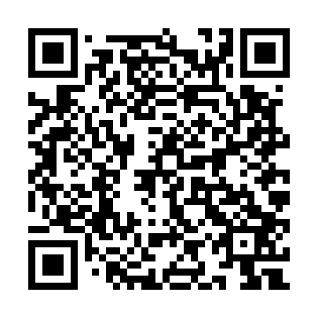 QR code for plate 9IV E03