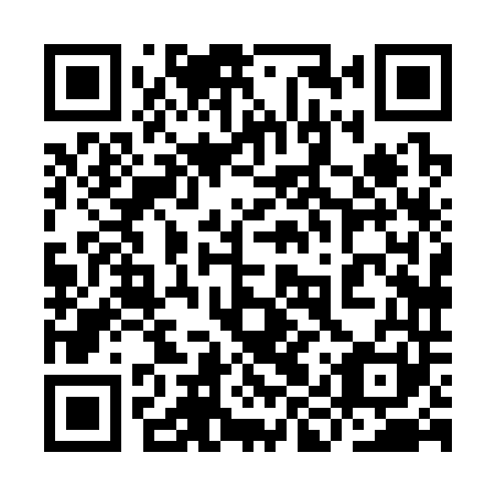 QR code for 9IX 341