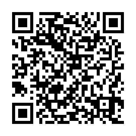 QR code for plate 9IZ 933