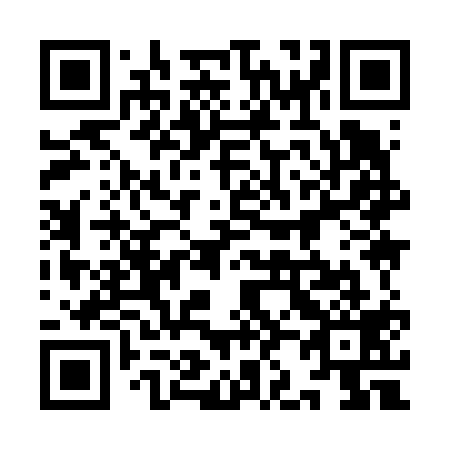 QR code for plate 9J9 619