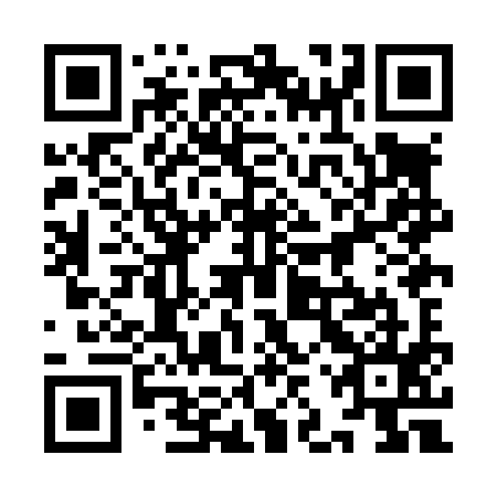 QR code for plate 9JX L95