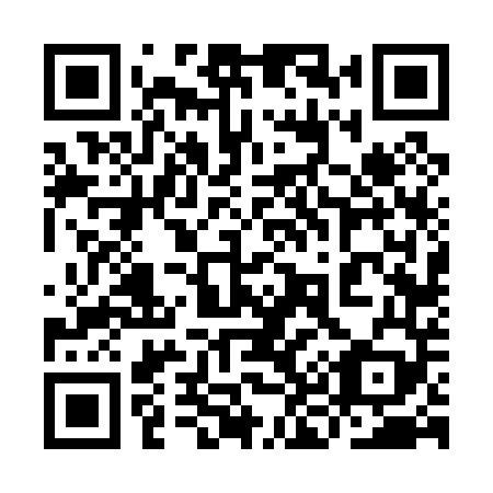 QR code for plate 9K6 049