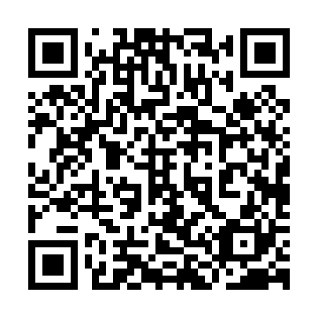 QR code for plate 9L0 020