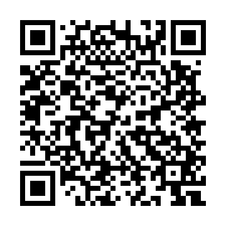 QR code for 9L5 541