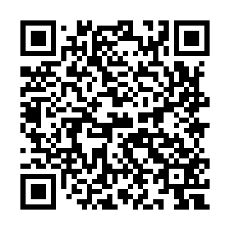 QR code for 9L9953