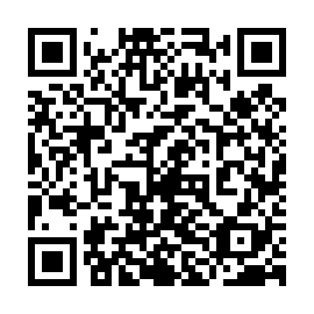 QR code for plate 9LF 428