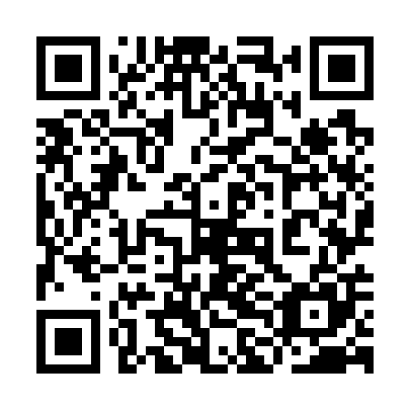 QR code for plate 9LO 705