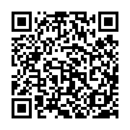 QR code for plate 9M0 691
