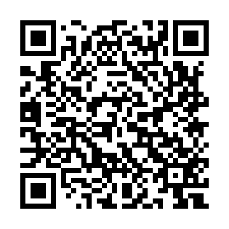 QR code for 9N1 953