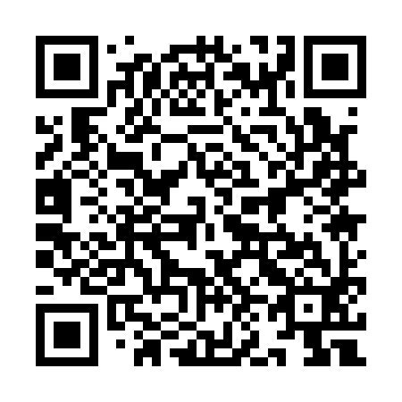 QR code for plate 9N1 192