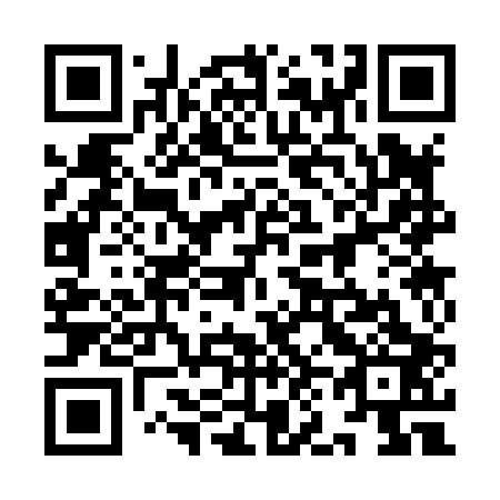 QR code for plate 9N3 803