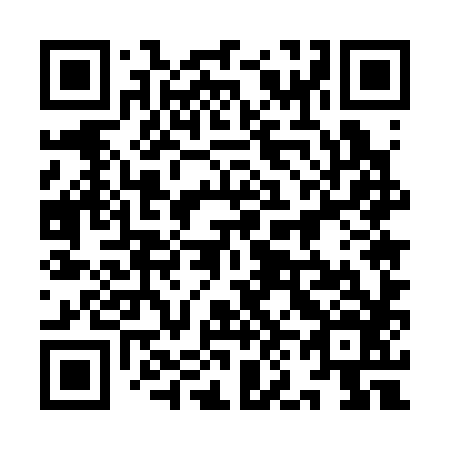 QR code for plate 9N5 386