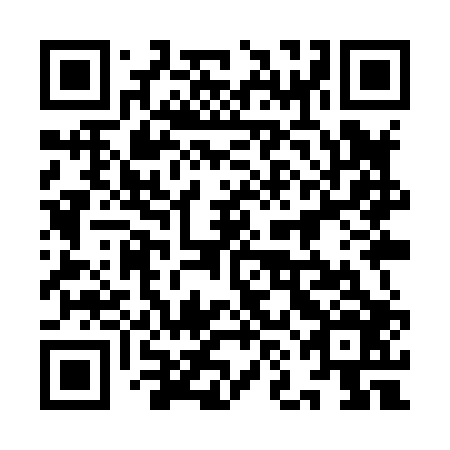 QR code for plate 9NI X06