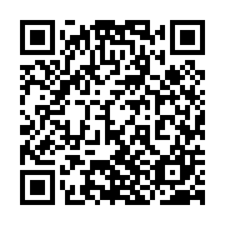 QR code for plate 9NM 007