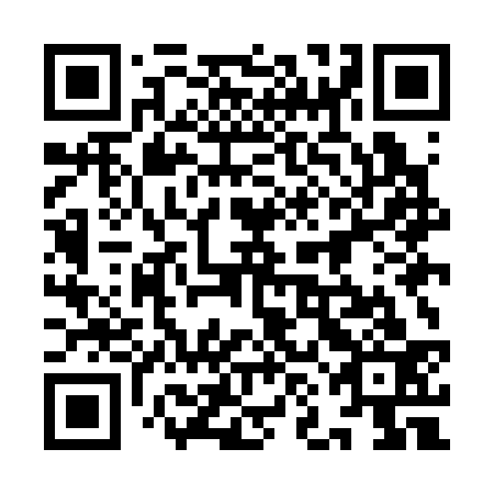 QR code for plate 9NM C33