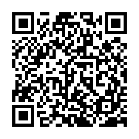 QR code for plate 9NS E52