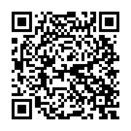 QR code for 9O1 747