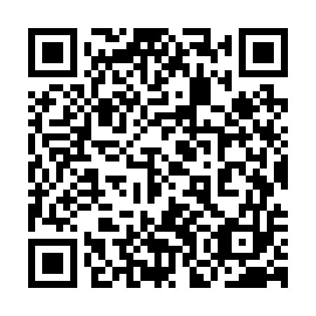QR code for plate 9OO R53