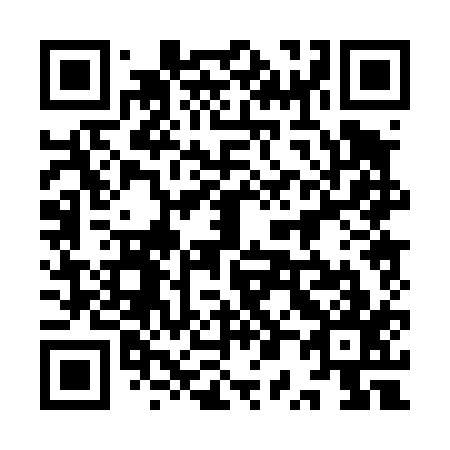 QR code for plate 9P0 417