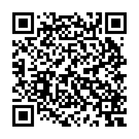 QR code for plate 9P1 249