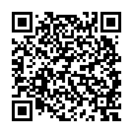 QR code for plate 9P6 688