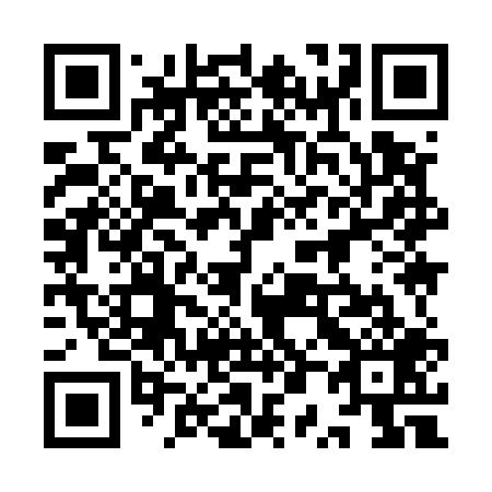 QR code for plate 9P9 509