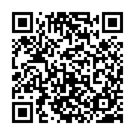 QR code for plate 9P9 804