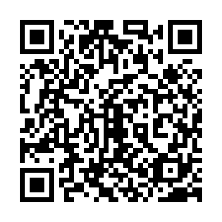 QR code for plate 9P9 870