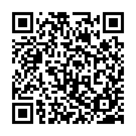QR code for 9PG 384