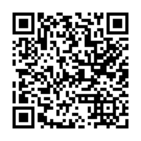 QR code for 9PI 379