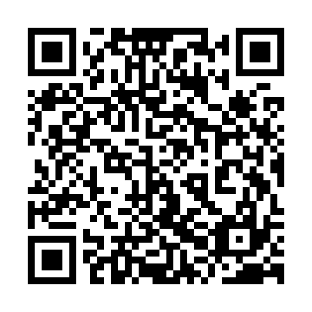 QR code for plate 9PK K37