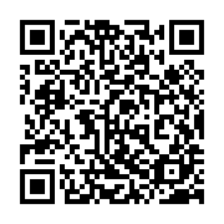 QR code for 9PM P80