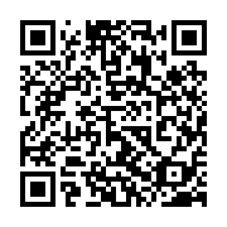 QR code for plate 9PU 219